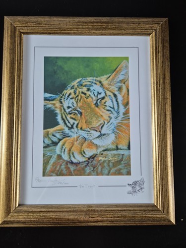 Stephen gayford wild - stephen,