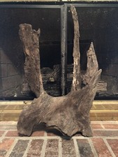 LARGE 2ft driftwood terrarium