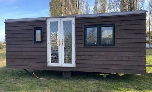 For sale shepherd - for, –