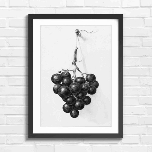 Vintage purple grapes - purple,