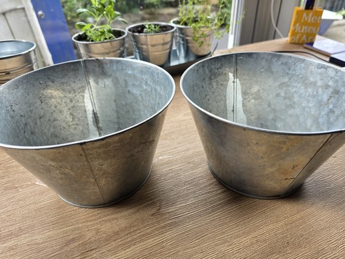 Vintage galvanised plant - galvanised,