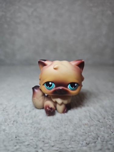Littlest pet shop persian - shop,