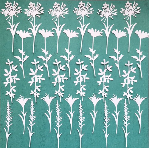 Botanical wildflowers die - wildflowers,