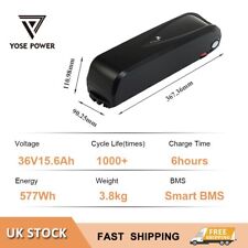 36V15.6Ah E-bike Electric