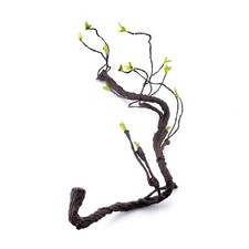 Vivarium Decoration Climbing