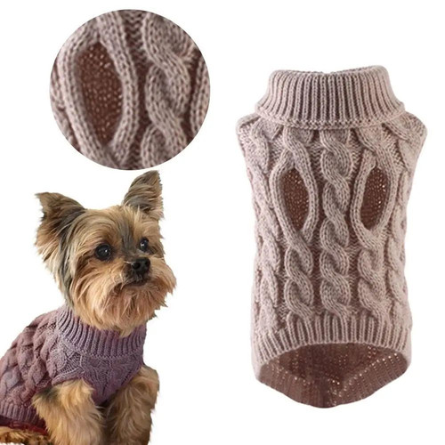 Puppy dog pet jumper winter - puppy,