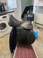 Kent and masters brown pony