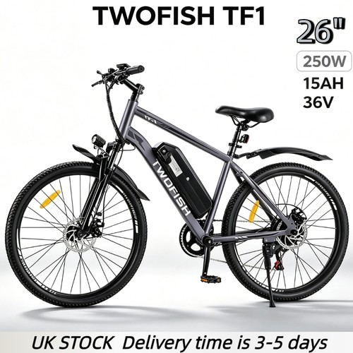 Electric mountain bike - mountain,