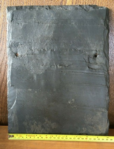 Thick inch reclaimed - 13, 10"