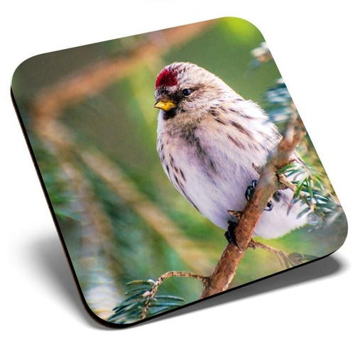 Square single coaster - square,