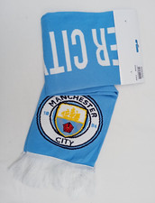 Manchester City FA Cup Final