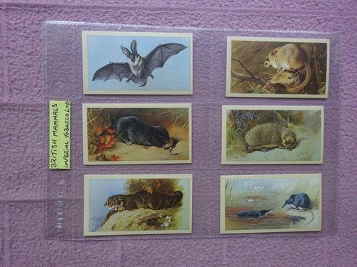 Complete set grandee - complete,
