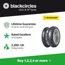 160 60 17 69W - Dunlop