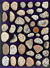 44 UK North Sea BEACH POTTERY & BRICK pebbles 670g Ocean Art Dunbar Scotland