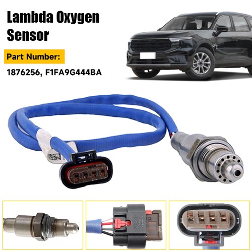 Lambda sensor for ford focus - sensor,