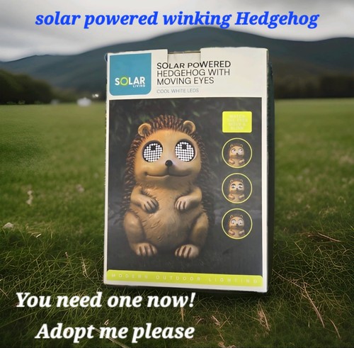 Solar hedgehog ornament with - hedgehog,