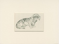 DACHSHUND LITTLE DOG 1938 DOG SKETCH MOUNTED ART PRINT by KF BARKER