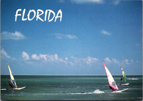 Florida coastline water - coastline,