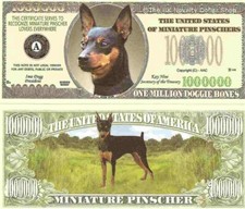 Miniature Pinscher Dog Min Pin