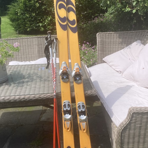Salomon scream ten - salomon, x-scream