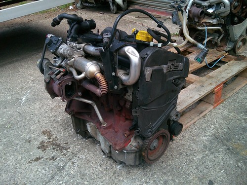 Renault kangoo engine diesel - renault,