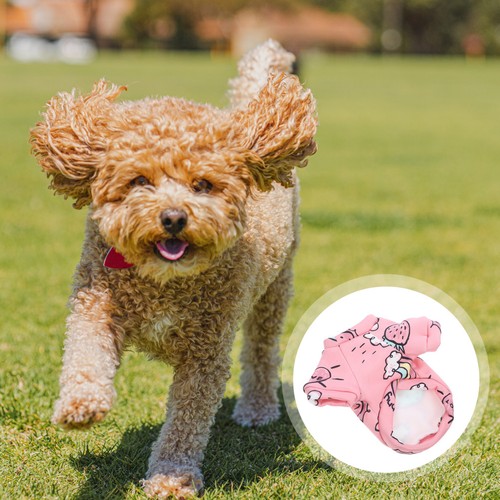 Small dog costume warm - small,