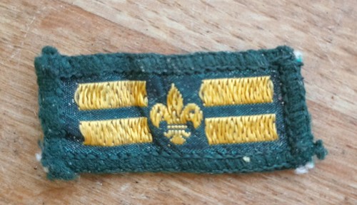 Vintage boy scouts - vintage,