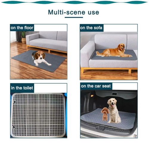 Reusable dog pee training - dog,