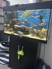 140 Litter Fish Tank. Full Set