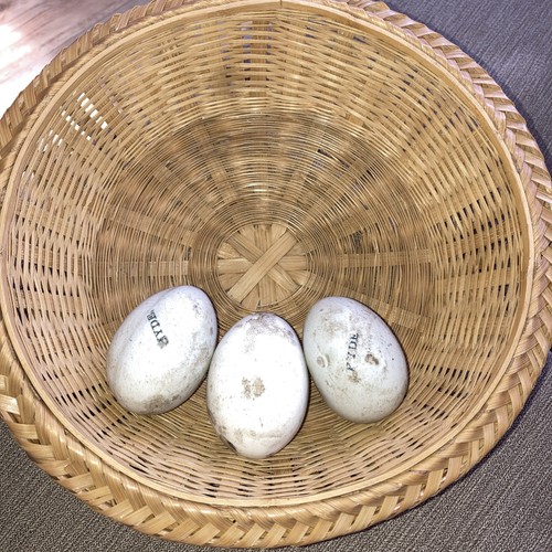 Antique ceramic broody hen - ceramic,