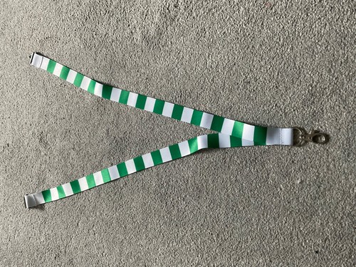Plymouth argyle lanyard - plymouth,