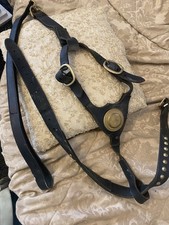 Staffordshire Bull Terriers Harness and Lead Vintage Leather Black. Dog.
