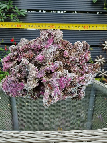 Tmc eco reef marine - tmc,