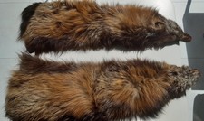 Vintage fox pelt used to trim