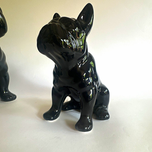 French bulldog black glossy - bulldog,