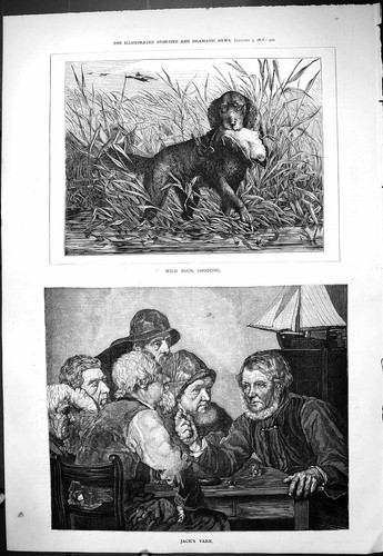 Antique old print 1878 wild - antique,