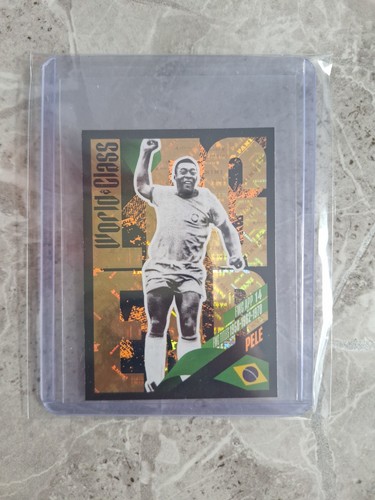 Panini world class 2024 - panini,