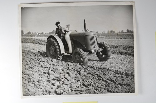 Dawson david brown tractor - david,