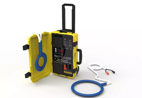 Horse pmst loop - horse, magnetic
