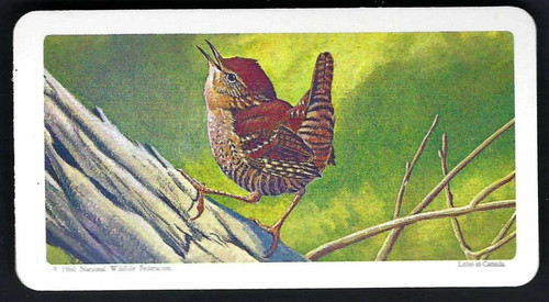 Brooke bond - brooke,