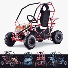 36V 2 Seater 1000W Buggy Powerful Go Kart UTV Off Road Buggy - OneBuggy™ | EX2S