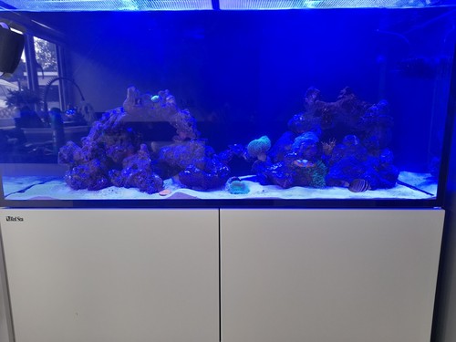 Red sea reafer - 350l, marine
