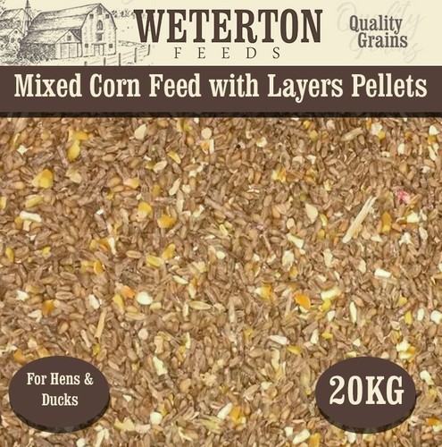 20kg mixed corn and layers - corn,