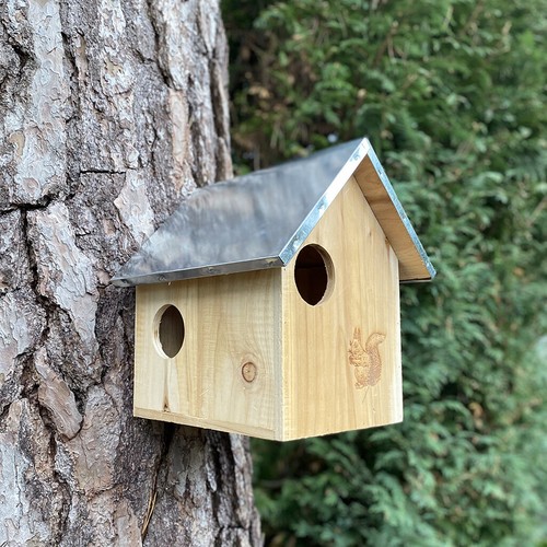 Wooden squirrel nest - squirrel, box