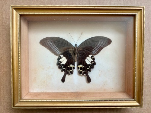 Vintage framed black - vintage,