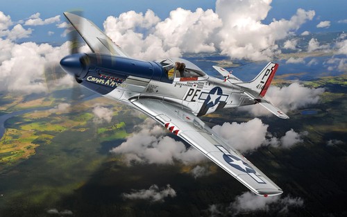 51d mustang cripes - p-51d,