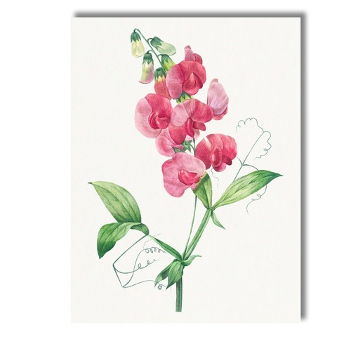 Canvas wall art decor - canvas,