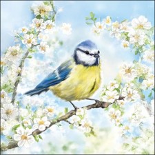 4 x Paper Napkins/33cm/3Ply/Decoupage/Blossom/Birds/Blue Tit on Blossom Branch