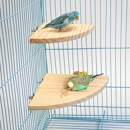 Bird small pet wooden - &, cage