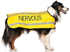 Pet Dog Coats NERVOUS Yellow